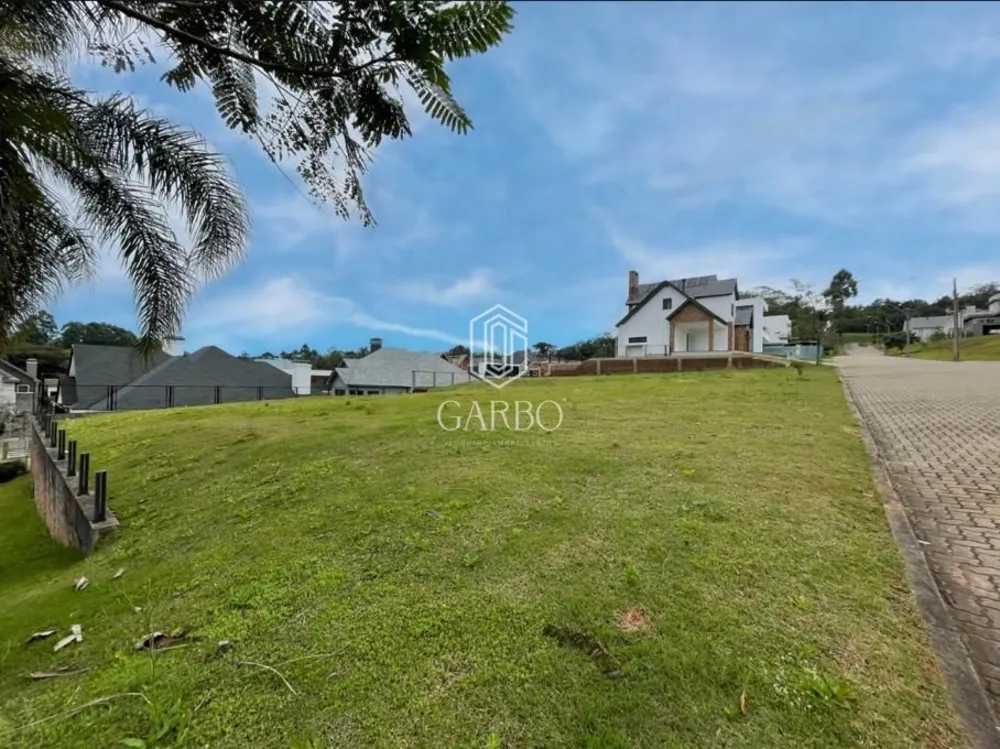 Terreno, 423 m² - Foto 4