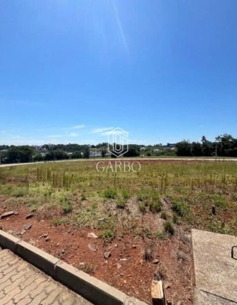 Terreno, 329 m² - Foto 3