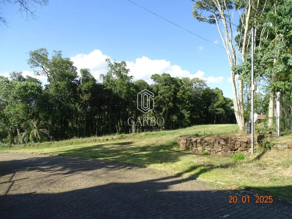 Terreno, 6186 m² - Foto 11