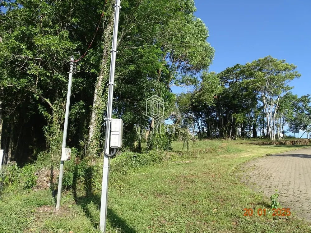 Terreno, 6186 m² - Foto 6