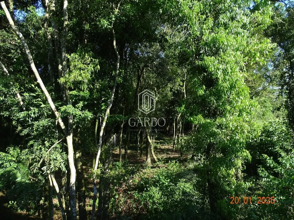 Terreno, 6186 m² - Foto 12