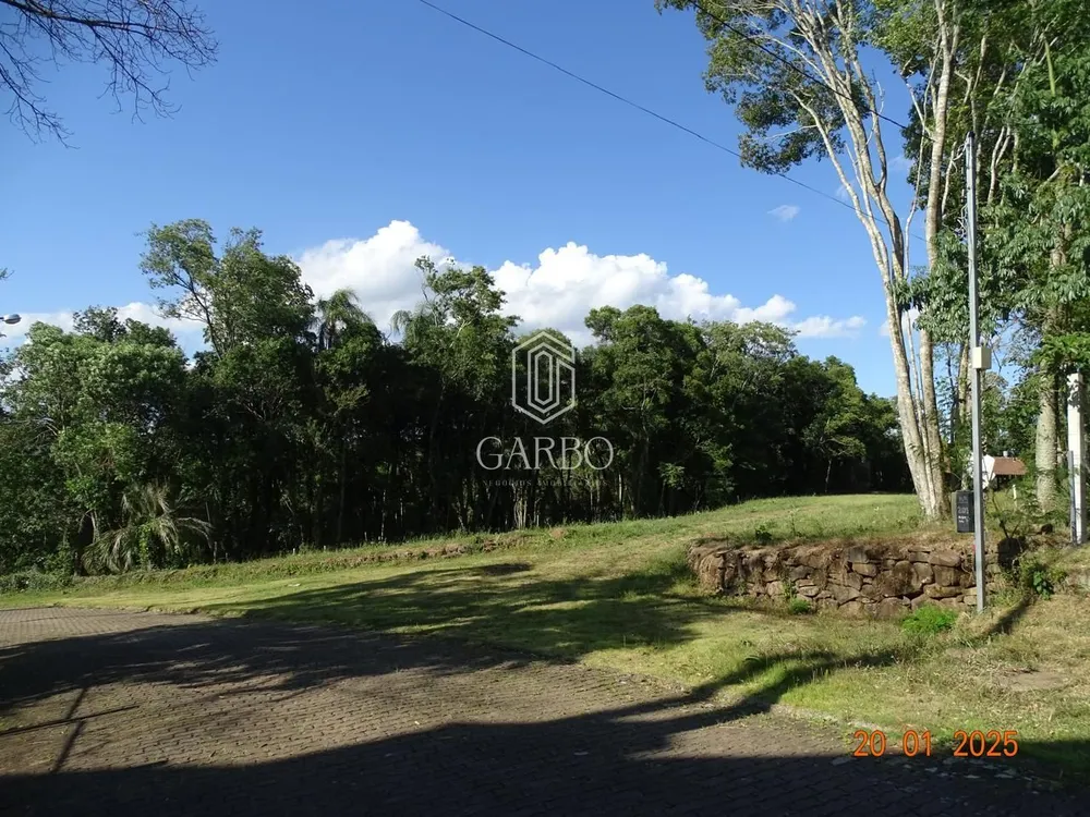Terreno, 6186 m² - Foto 3