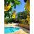 Chácara, 4 quartos, 3 hectares - Foto 7