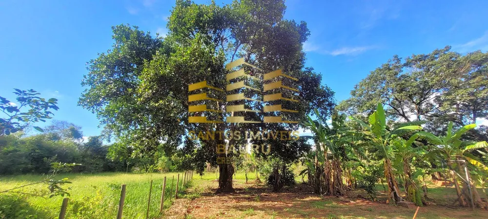 Chácara, 4 quartos, 2 hectares - Foto 7