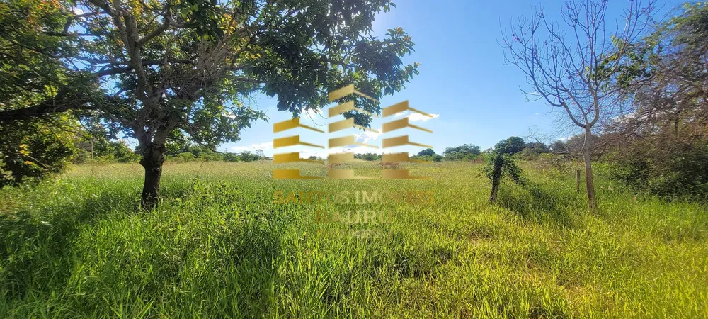 Chácara, 4 quartos, 2 hectares - Foto 11