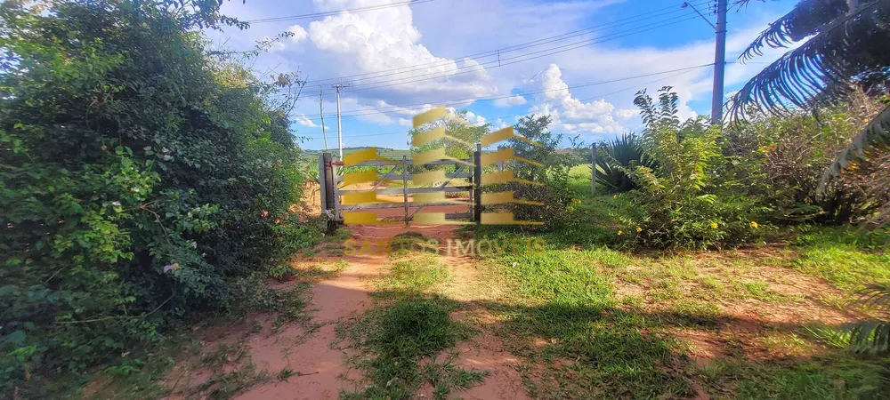 Chácara, 4 quartos, 2 hectares - Foto 12