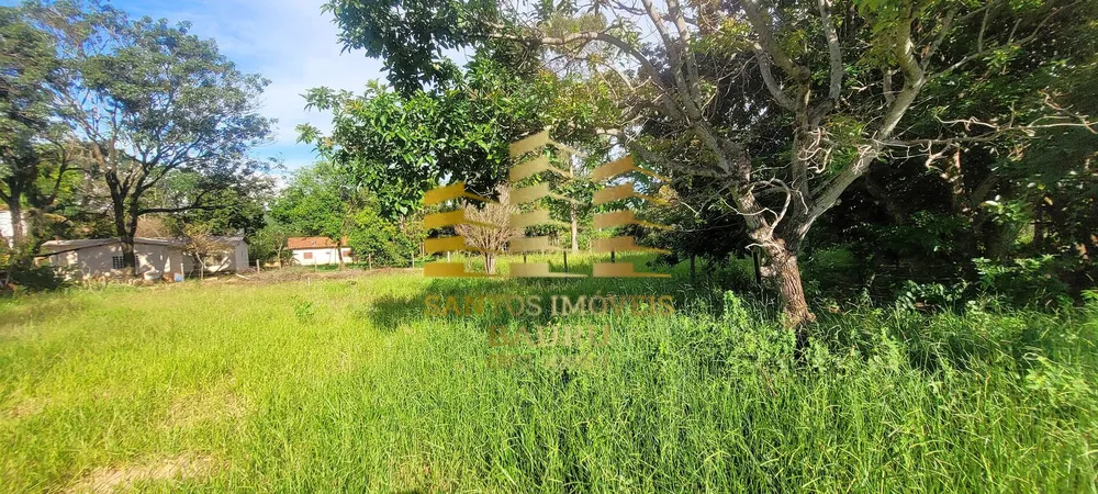 Chácara, 4 quartos, 2 hectares - Foto 6