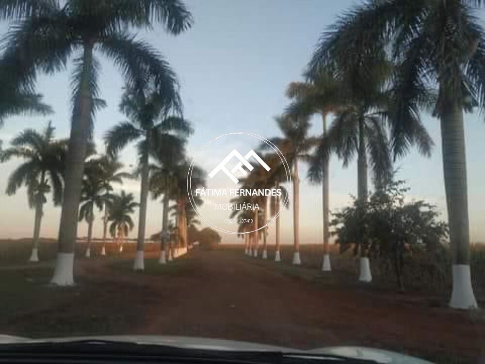 Chácara, 3 quartos - Foto 12