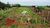 Terreno, 1000 m² - Foto 3