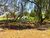 Terreno, 2681 m² - Foto 2