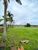 Terreno, 3298 m² - Foto 3