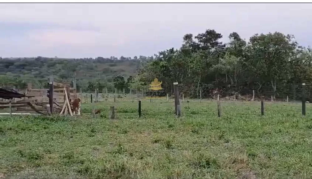 Fazenda, 35 hectares - Foto 2