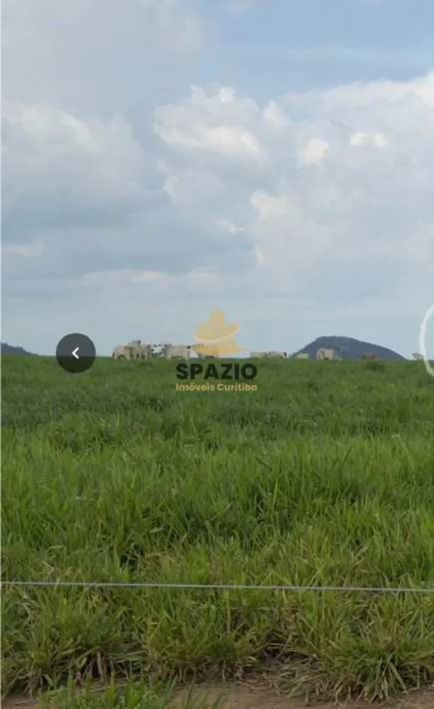 Fazenda, 1462 m² - Foto 2