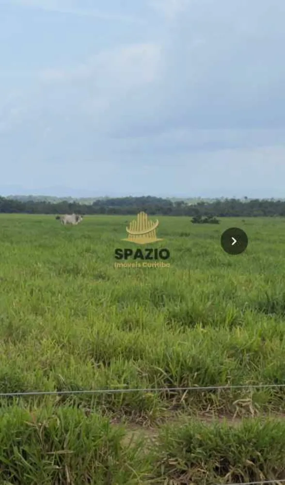 Fazenda, 1462 m² - Foto 3