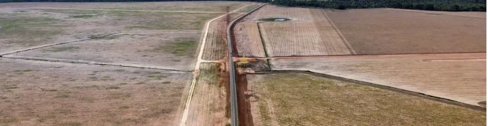 Fazenda - Foto 4