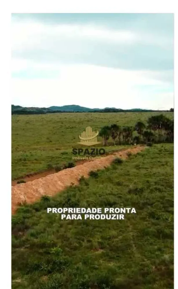 Fazenda, 1940 m² - Foto 4