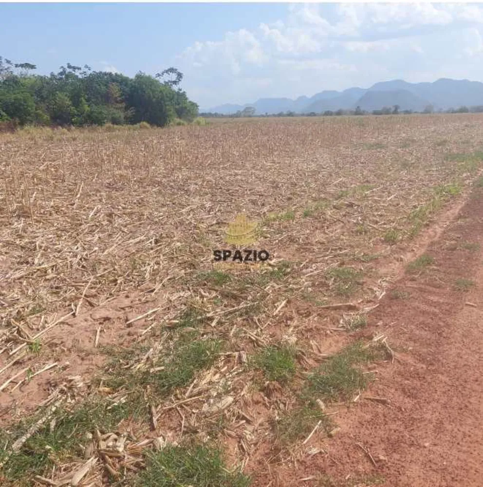 Fazenda, 240 hectares - Foto 2