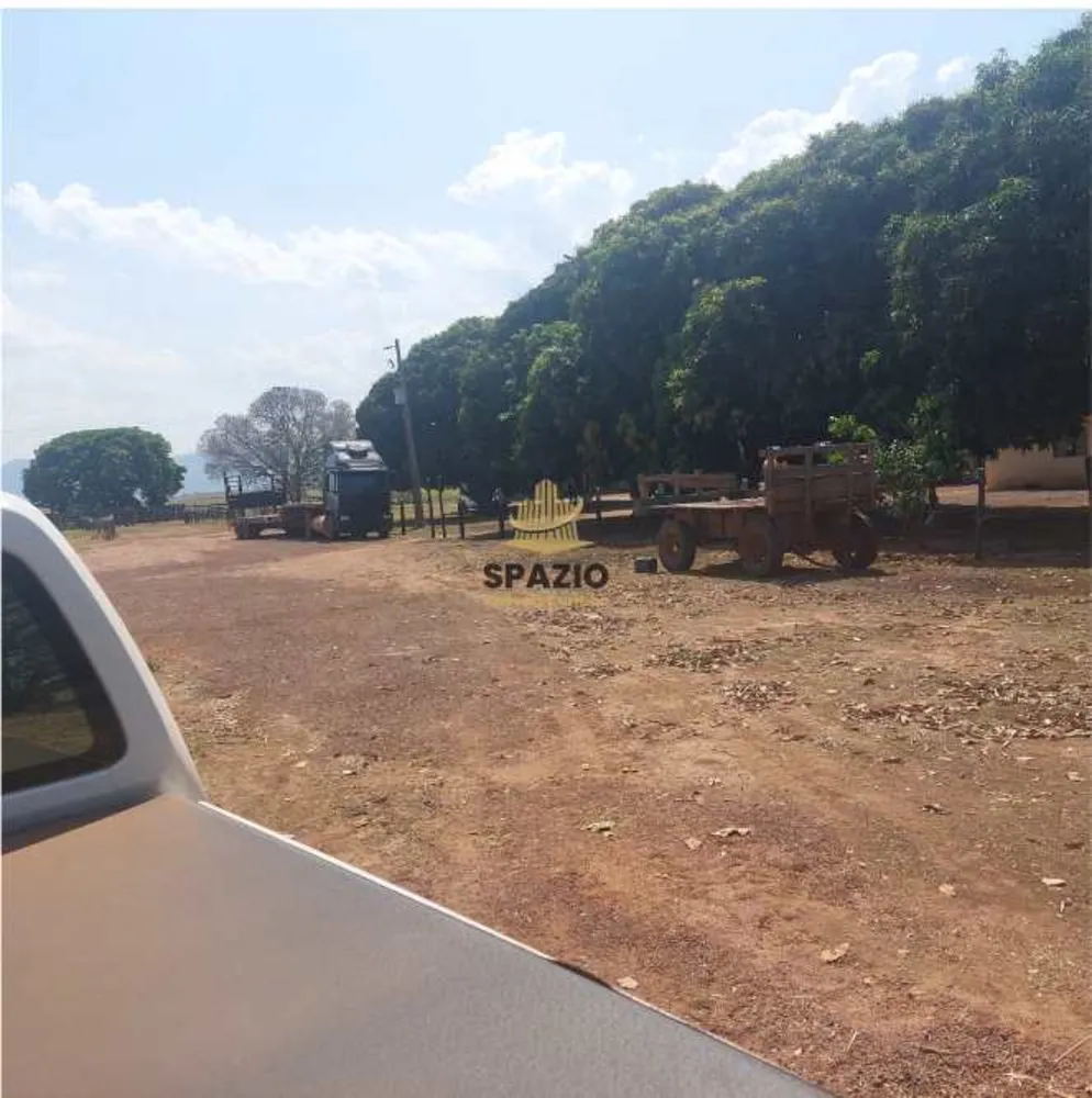 Fazenda, 240 hectares - Foto 4