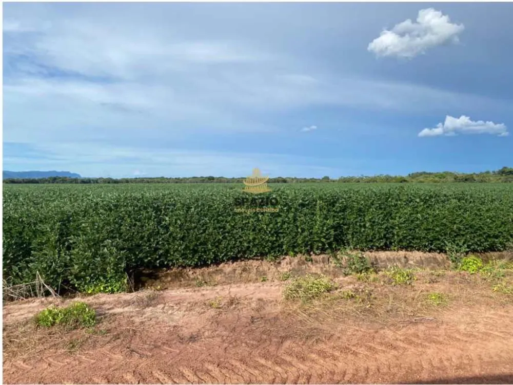 Fazenda, 240 hectares - Foto 1