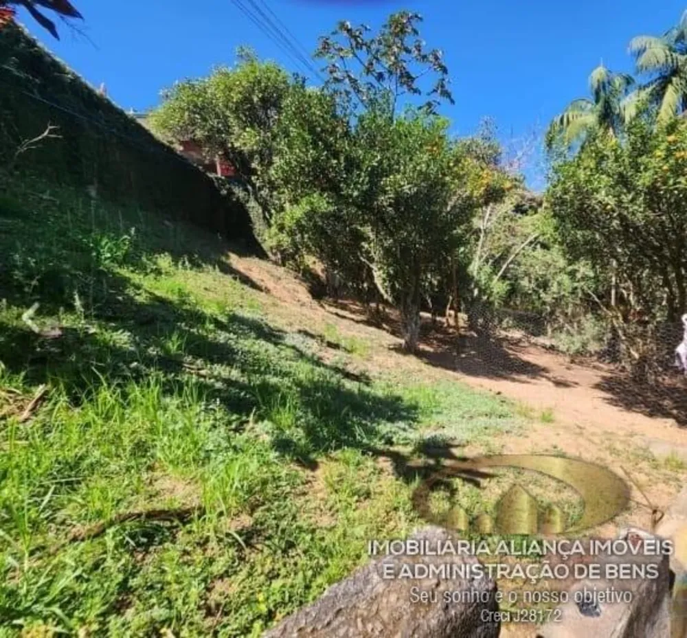 Chácara, 3 quartos, 5860 m² - Foto 23