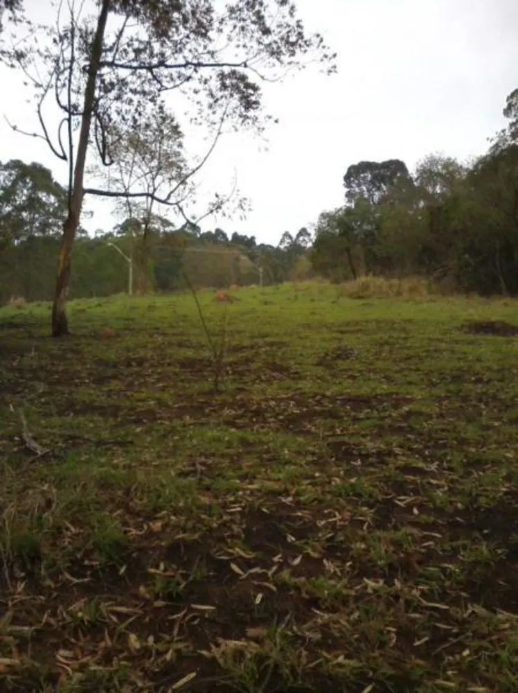 Terreno, 2 hectares - Foto 1