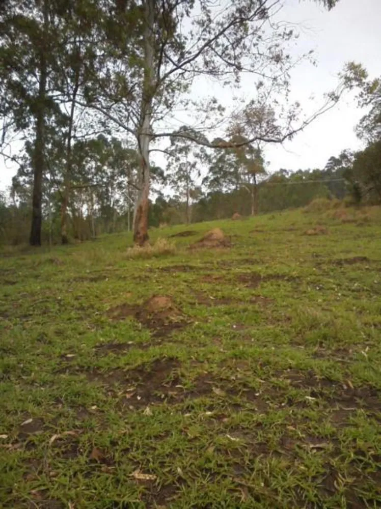 Terreno, 2 hectares - Foto 3