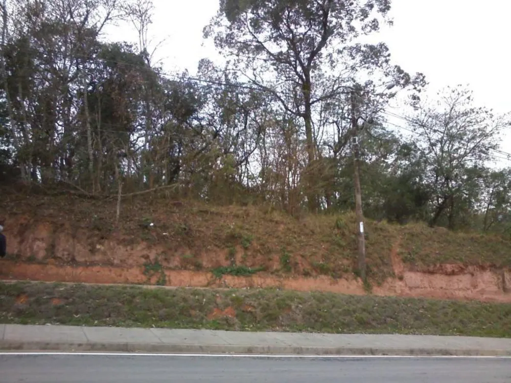 Terreno, 2 hectares - Foto 3