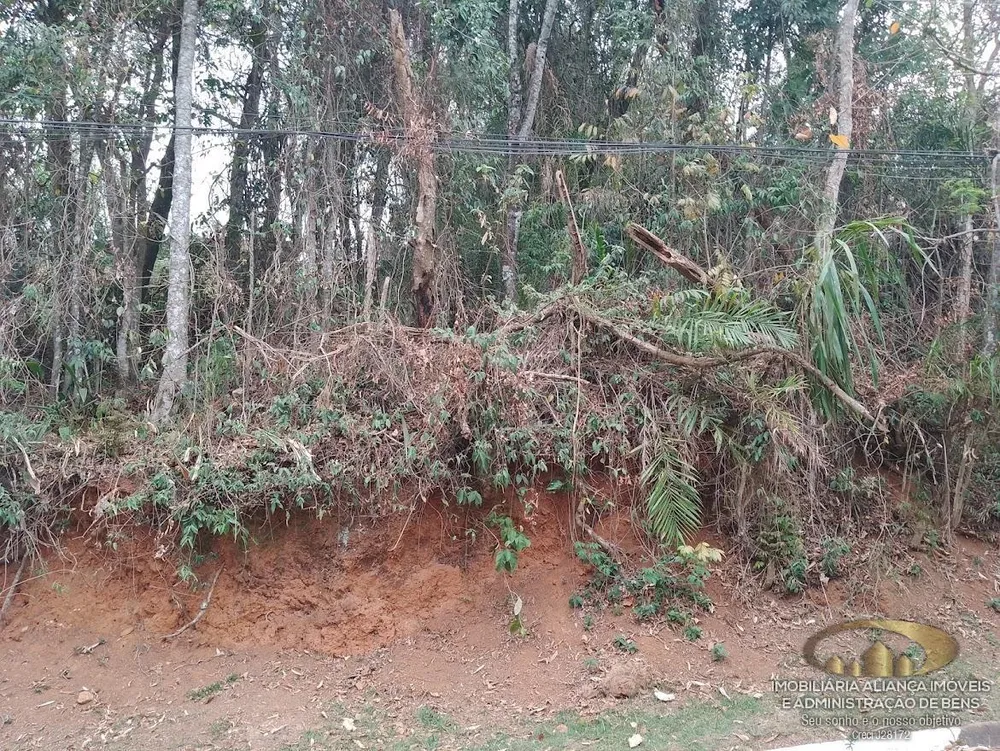 Terreno, 1435 m² - Foto 4