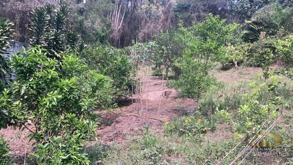 Chácara, 2754 m² - Foto 4