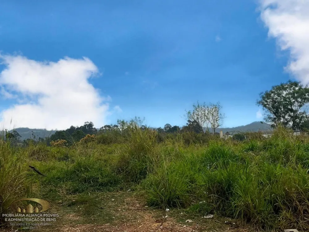 Terreno - Foto 4
