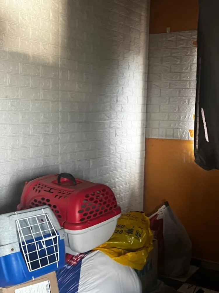 Casa, 4 quartos, 366 m² - Foto 15