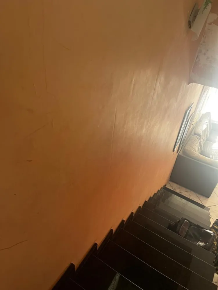 Casa, 4 quartos, 366 m² - Foto 6