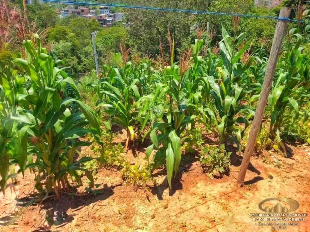 Terreno, 180 m² - Foto 3