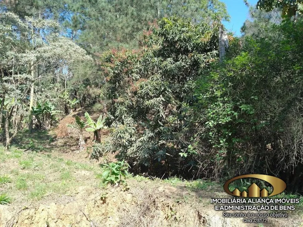 Terreno, 1950 m² - Foto 4