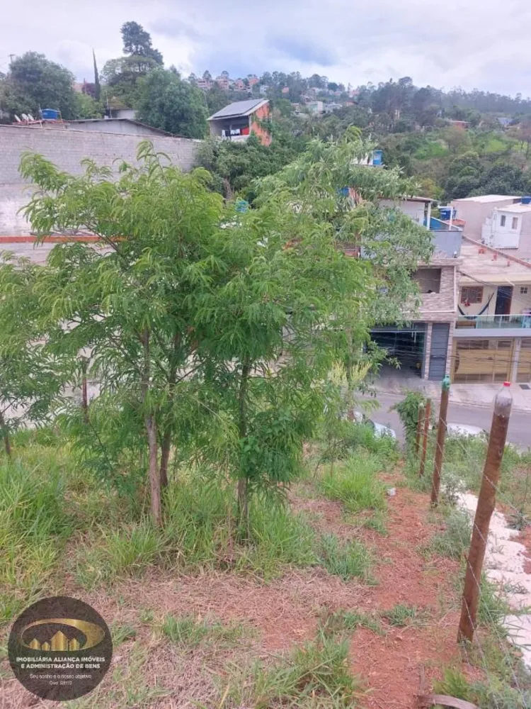 Terreno, 290 m² - Foto 4