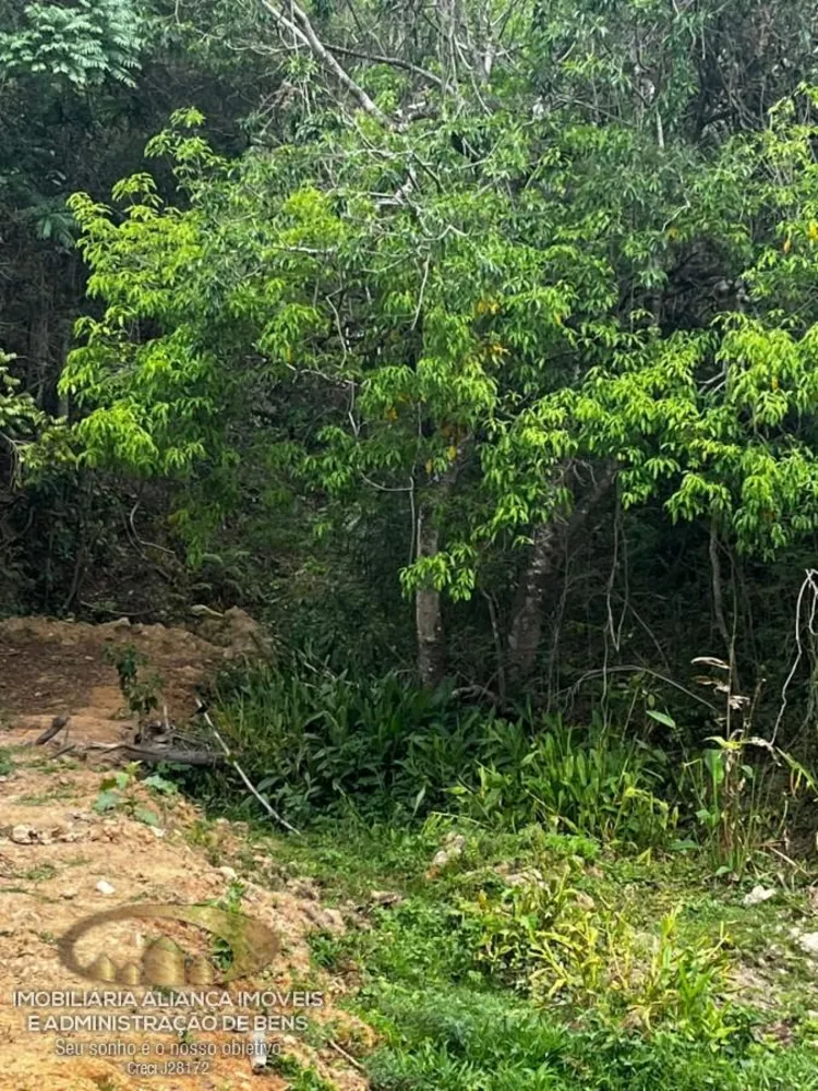 Terreno, 41 hectares - Foto 6