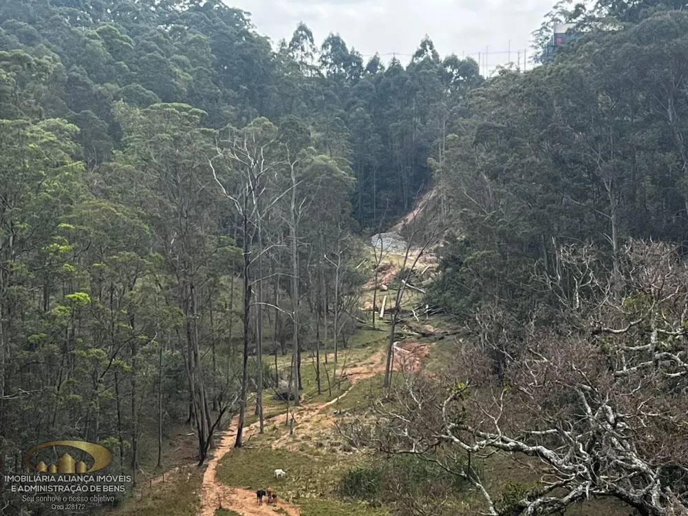 Terreno, 41 hectares - Foto 4