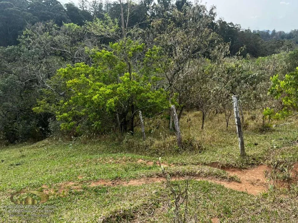 Terreno, 41 hectares - Foto 7