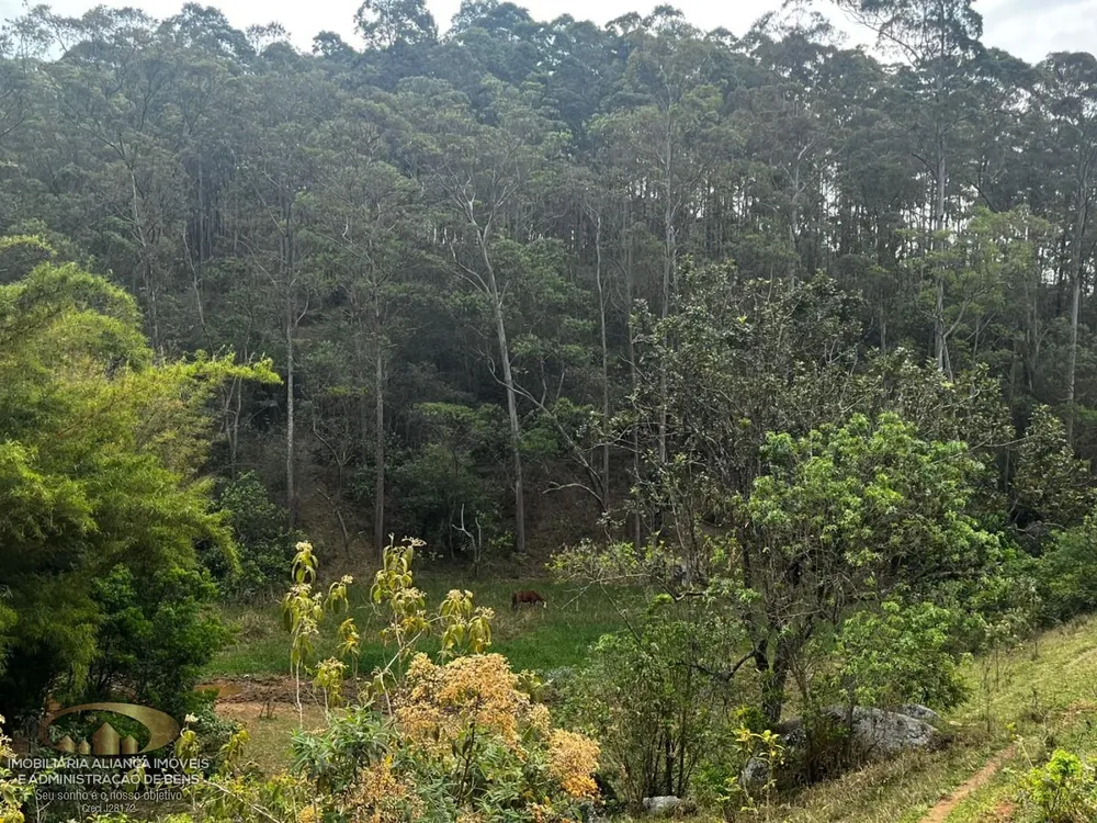 Terreno, 41 hectares - Foto 8