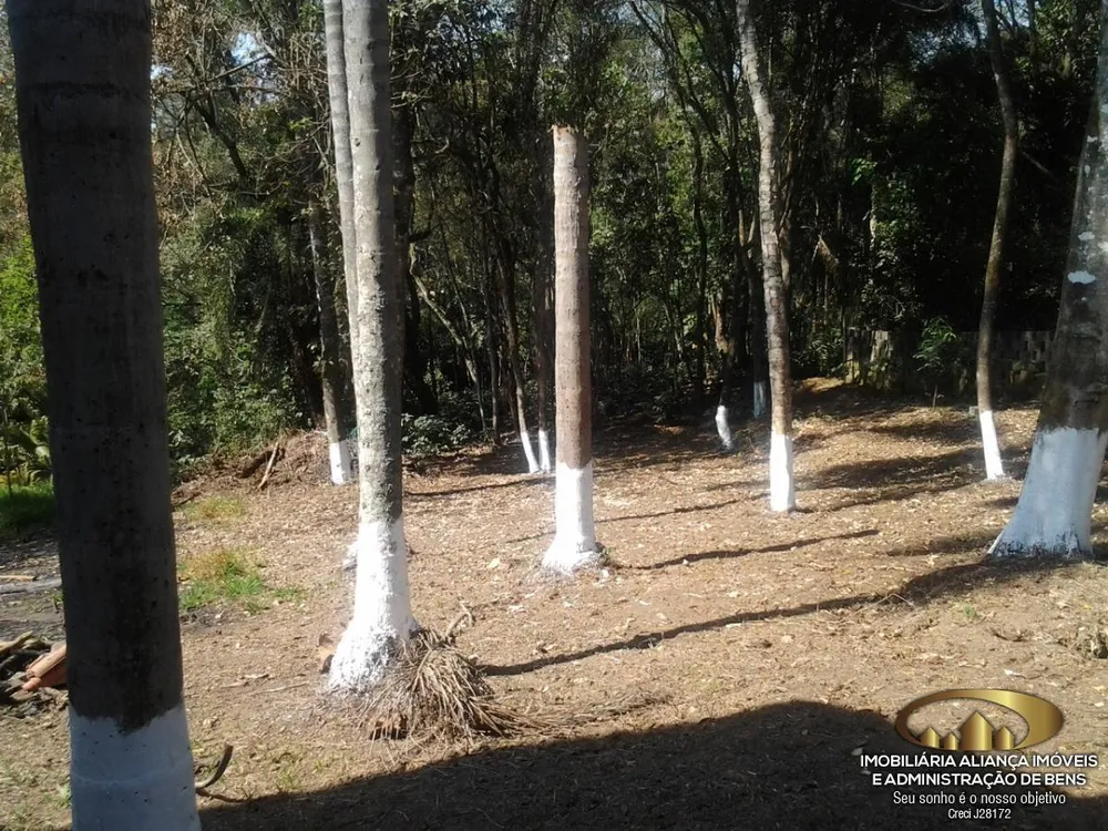 Terreno, 600 m² - Foto 12