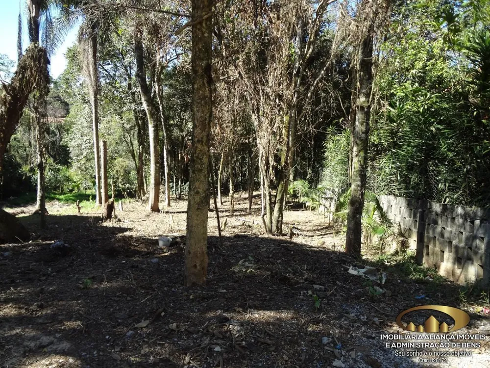 Terreno, 600 m² - Foto 8
