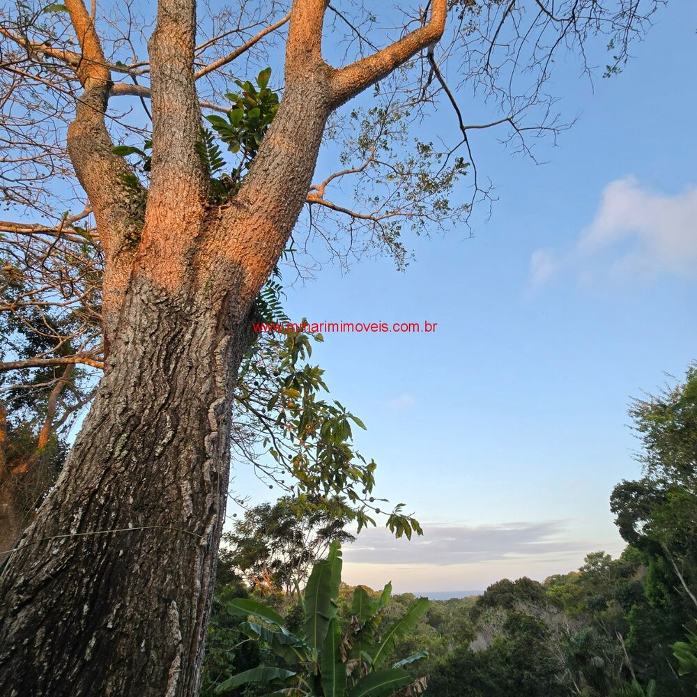 Terreno, 1000 m² - Foto 6