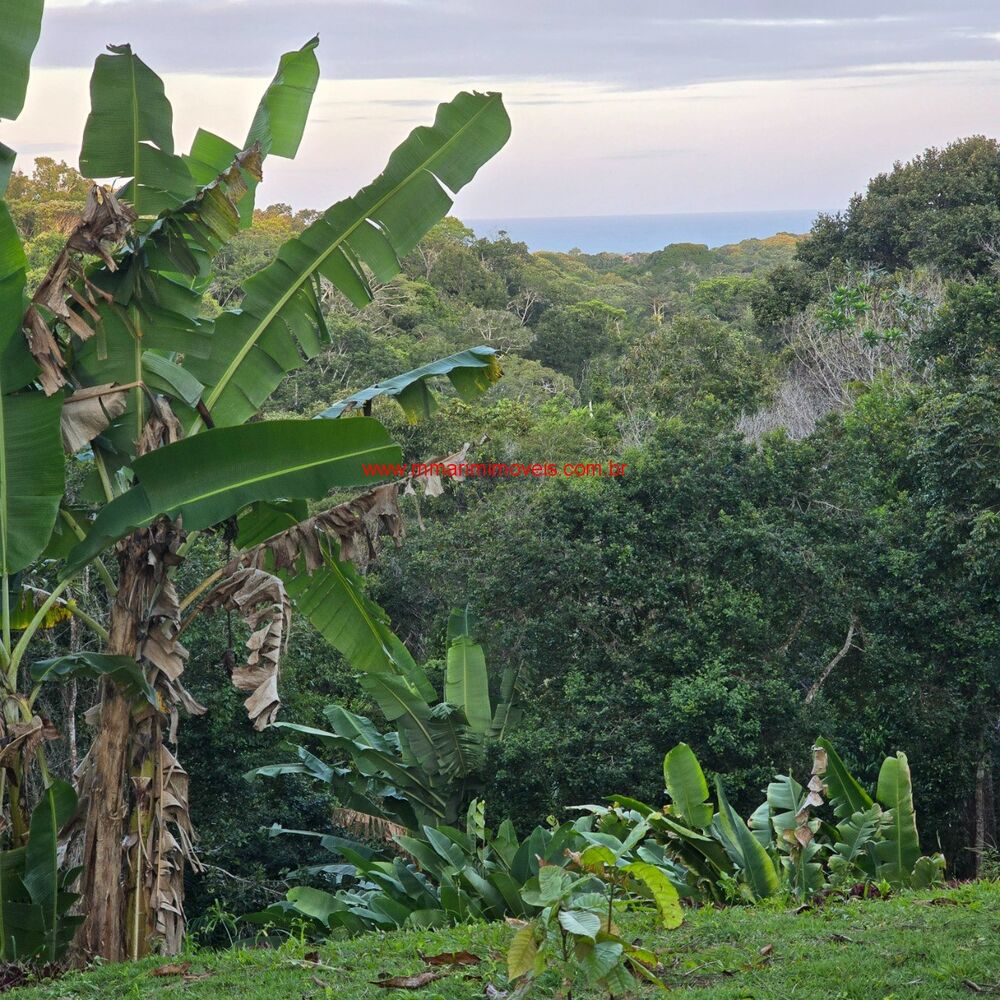 Terreno, 1000 m² - Foto 2