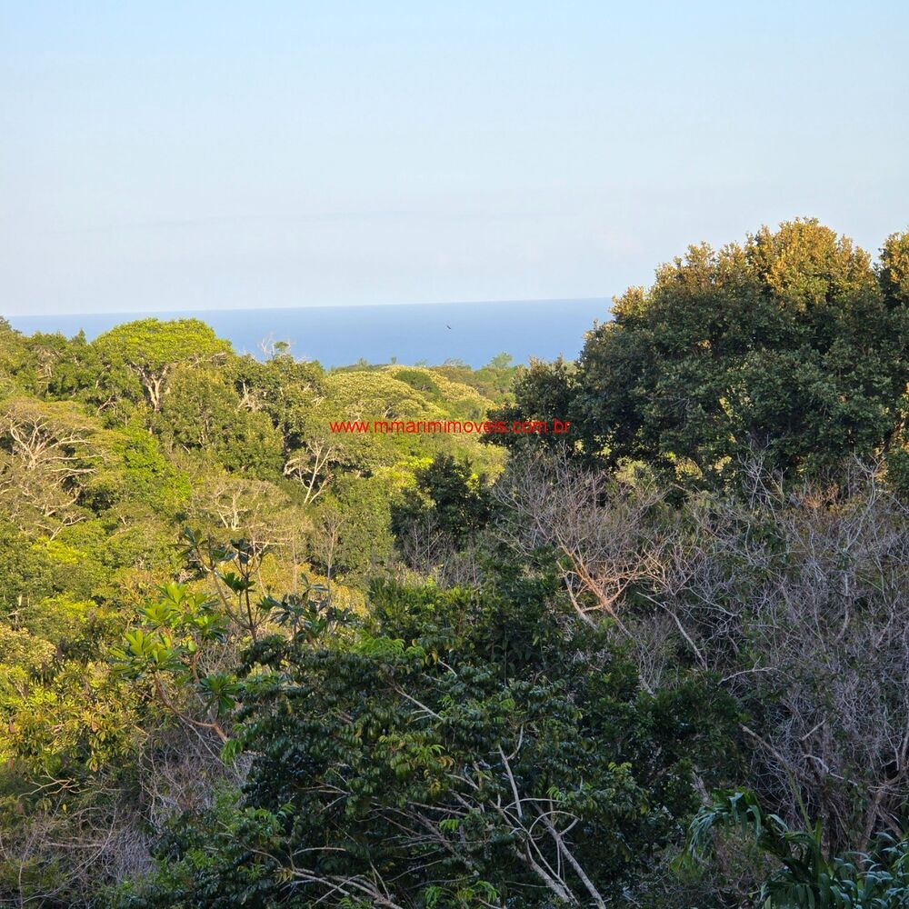 Terreno, 1000 m² - Foto 1