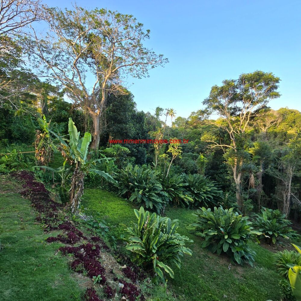 Terreno, 1000 m² - Foto 4