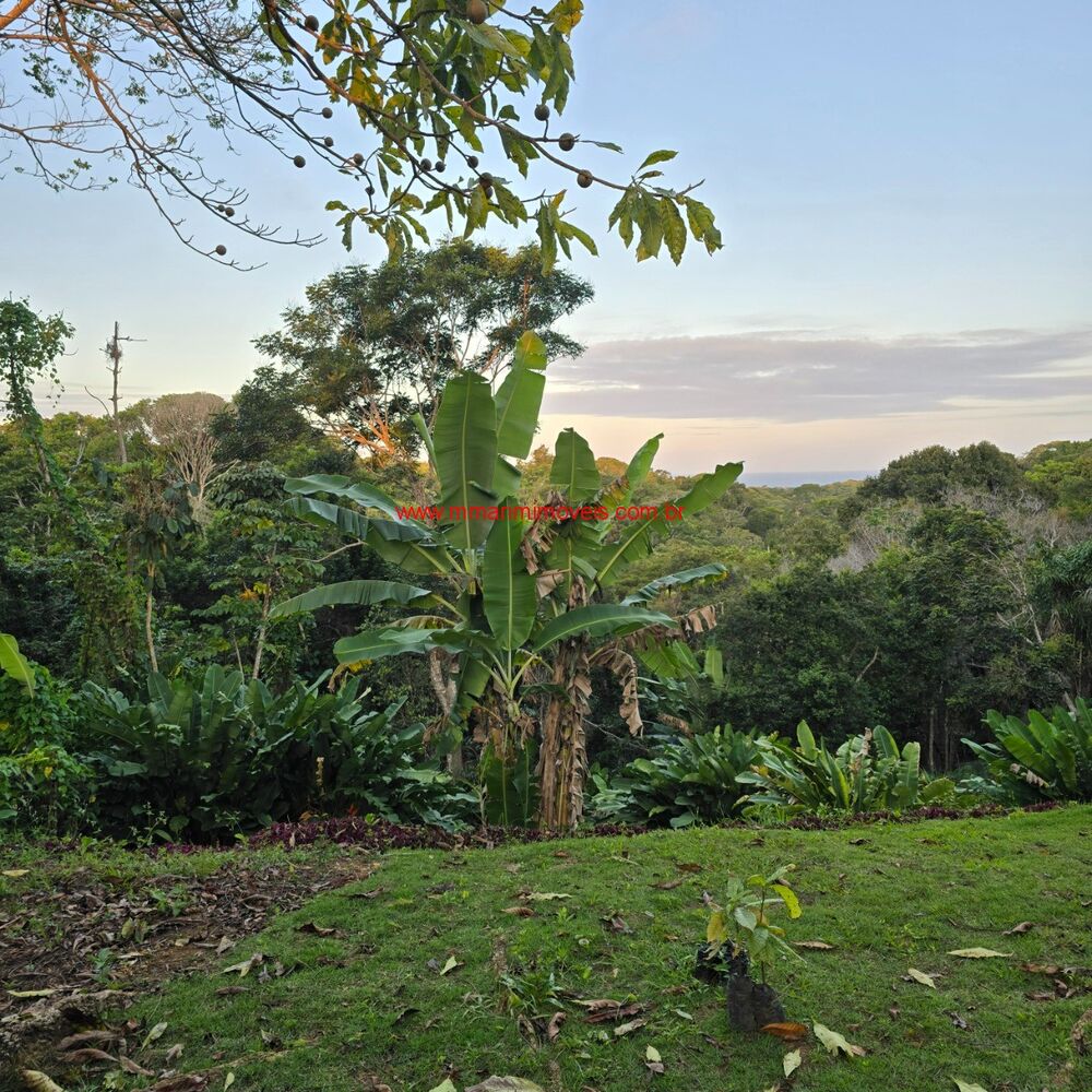 Terreno, 1000 m² - Foto 3