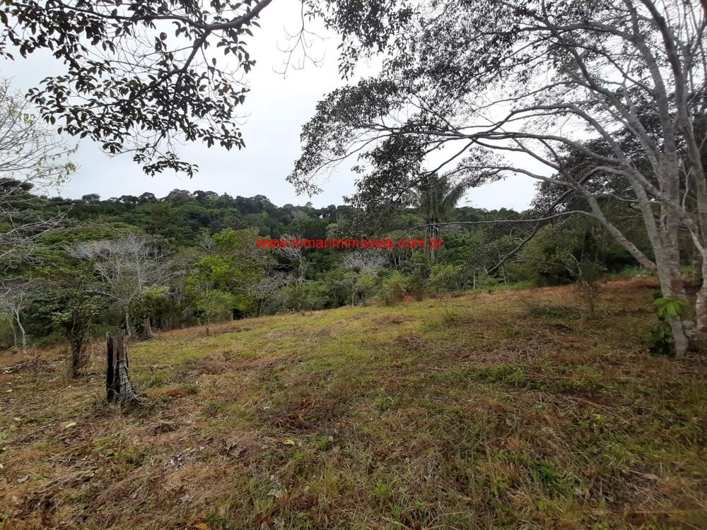 Terreno, 5 hectares - Foto 3