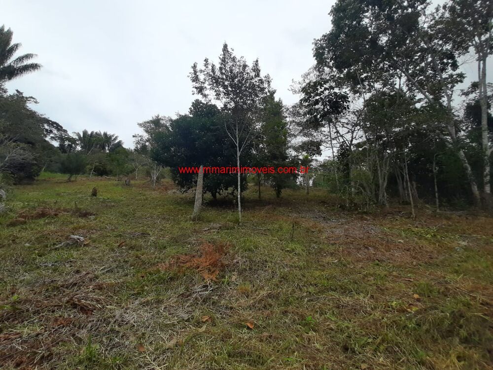 Terreno, 5 hectares - Foto 8