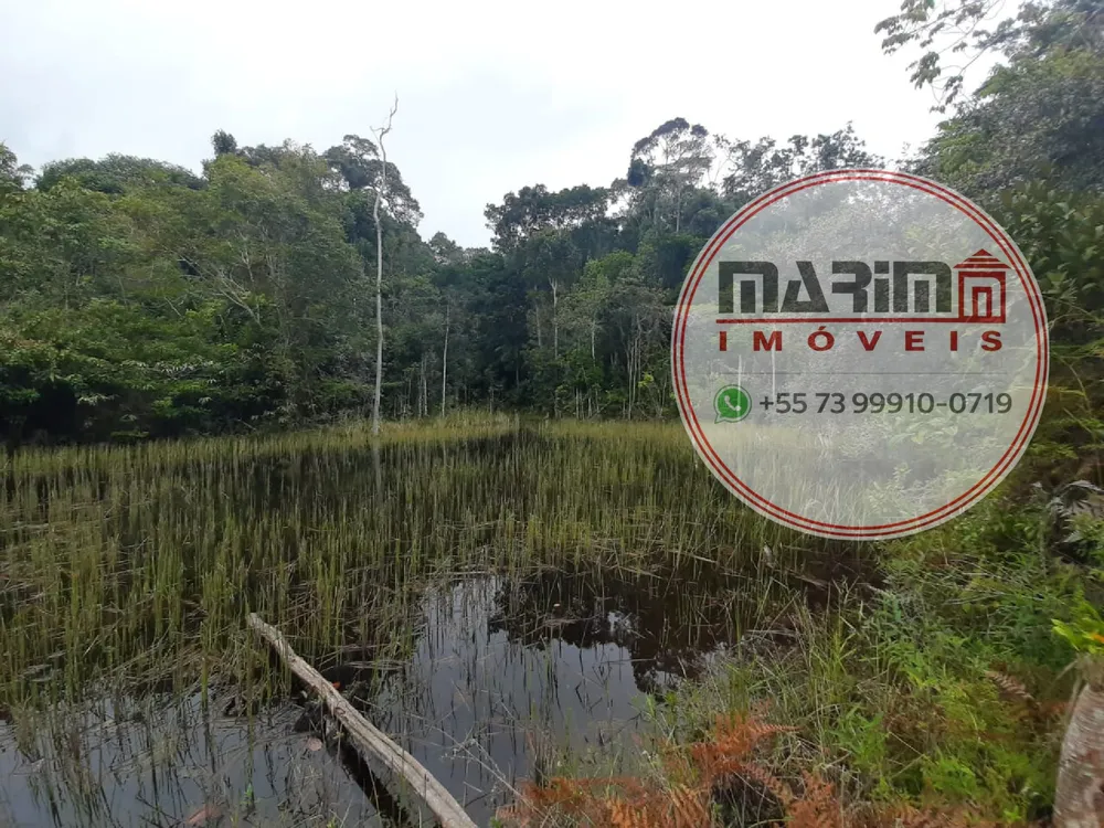 Terreno, 5 hectares - Foto 16