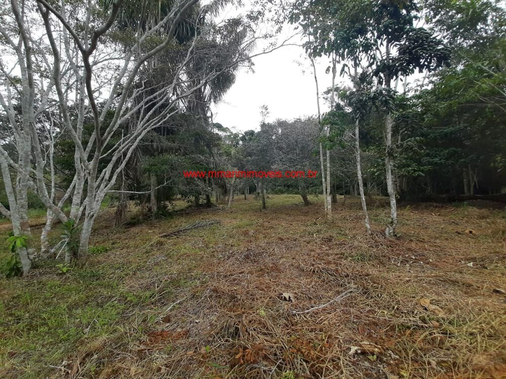 Terreno, 5 hectares - Foto 1